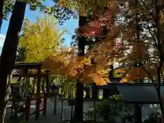 日枝神社(岐阜県)