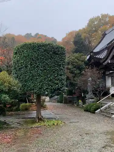 瑞光寺の庭園