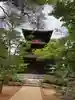 豪徳寺の塔