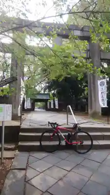 上野東照宮の鳥居