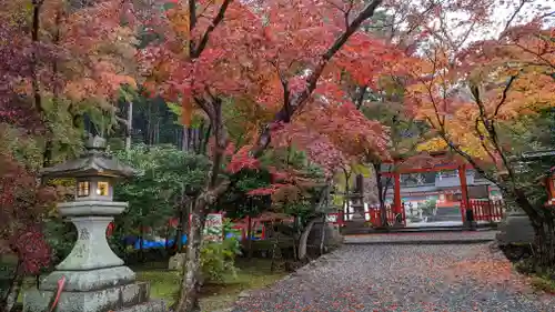 大原野神社(京都府)