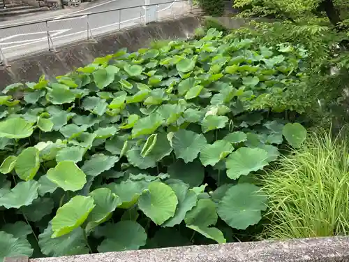 笠覆寺 (笠寺観音)(愛知県)