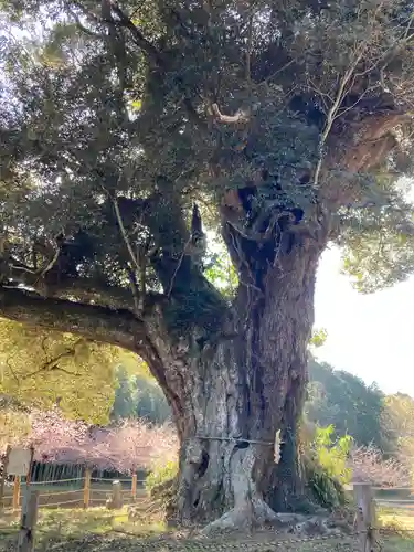 寂光寺(千葉県)