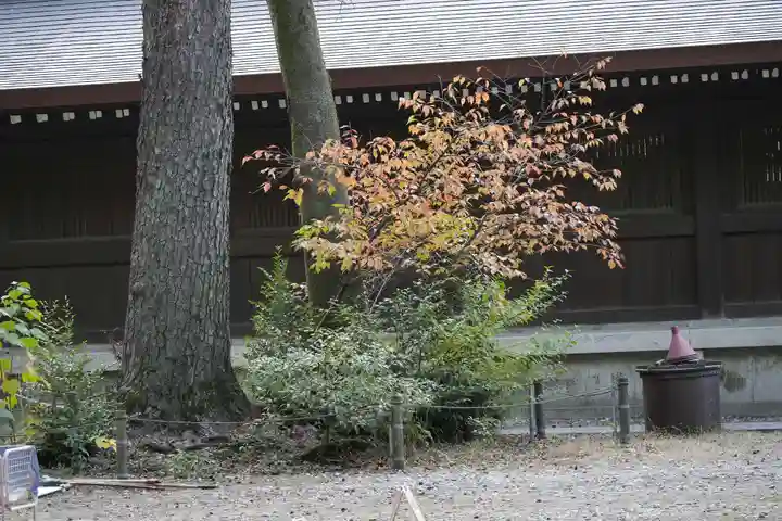 明治神宮(東京都)