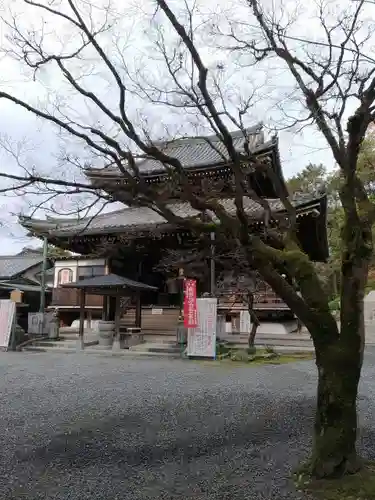 今熊野観音寺の本殿