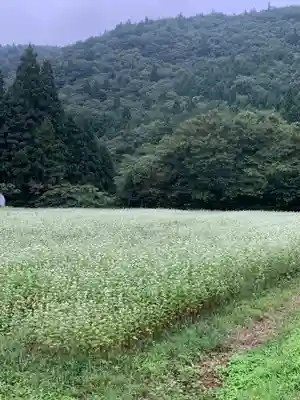 大沢温泉金勢神社の自然