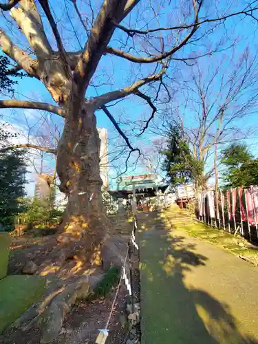 愛宕神社(福島県)