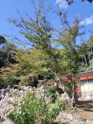 大原野神社(京都府)