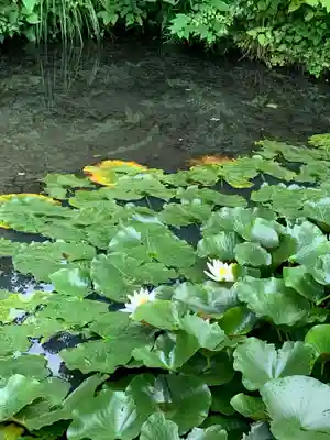 御嶽神社の自然