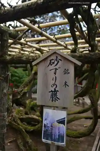 春日大社(奈良県)