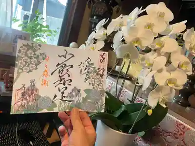 花シリーズ『少欲知足』書き置き