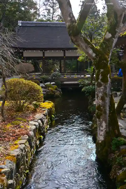 賀茂別雷神社(上賀茂神社)(京都府)