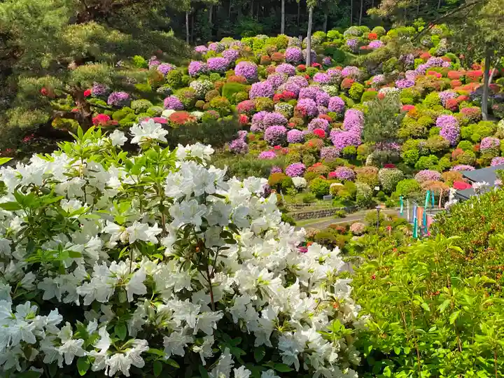 塩船観音寺の自然