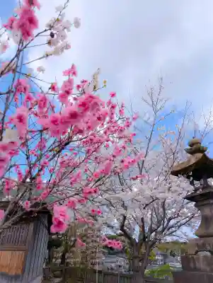 多賀神社の{uncategorized: "未分類", other: "その他", undefined: "問題あり", building: "その他建物", grave: "お墓", sacred_gate: "鳥居", guardian: "狛犬", statue: "像", buddha: "仏像", history: "歴史", nature: "自然", garden: "庭園", animal: "動物", pagoda: "塔", temizu: "手水舎", mountain_gate: "山門・神門", sanctuary: "本殿・本堂", subordinate: "末社・摂社", art: "芸術", scenery: "景色", jizo: "地蔵", ema: "絵馬", goshuin: "御朱印", omikuji: "おみくじ", items: "授与品その他", amulet: "お守り", goshuincho: "御朱印帳", eats: "食事", festival: "お祭り", votive_dance: "神楽", shichigosan: "七五三参", wedding: "結婚式", experience: "体験その他", initially: "初詣", around: "周辺", anti_infection: "感染症対策"}