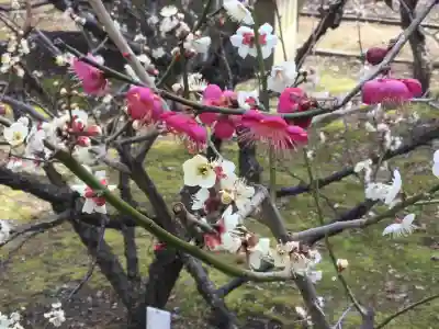 北野天満宮(京都府)