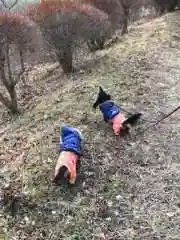 正一位 若草稲荷神社の動物