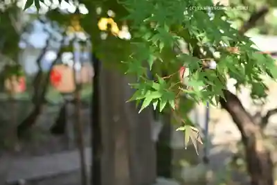 前原御嶽神社(千葉県)