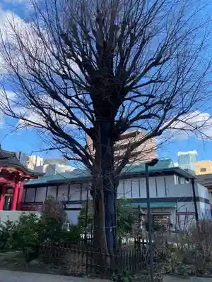 成子天神社(東京都)