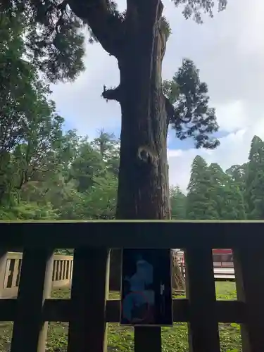 霧島神宮の建物その他