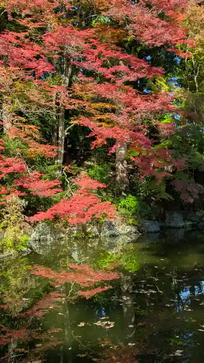 善峯寺(京都府)