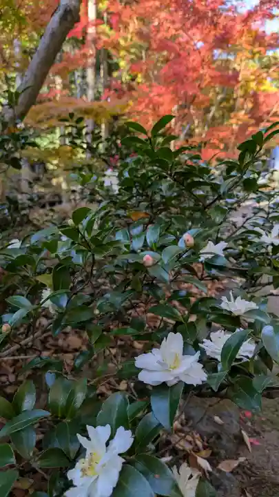 北野天満宮(京都府)