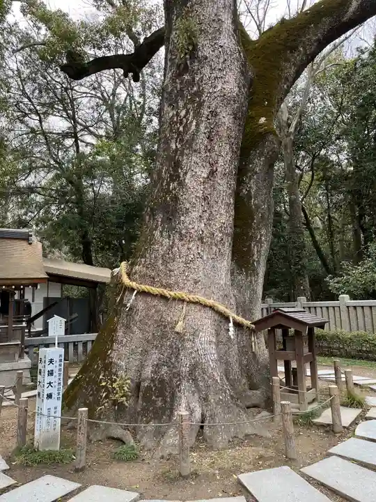 伊弉諾神宮(兵庫県)