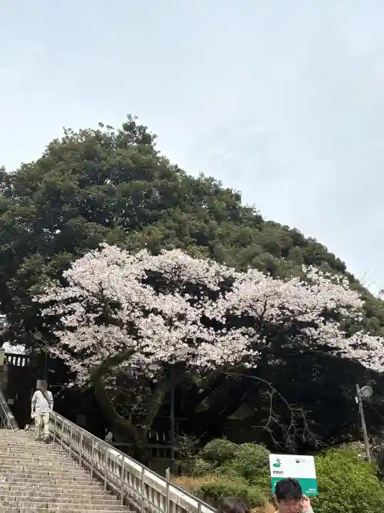 宇都宮二荒山神社の{uncategorized: "未分類", other: "その他", undefined: "問題あり", building: "その他建物", grave: "お墓", sacred_gate: "鳥居", guardian: "狛犬", statue: "像", buddha: "仏像", history: "歴史", nature: "自然", garden: "庭園", animal: "動物", pagoda: "塔", temizu: "手水舎", mountain_gate: "山門・神門", sanctuary: "本殿・本堂", subordinate: "末社・摂社", art: "芸術", scenery: "景色", jizo: "地蔵", ema: "絵馬", goshuin: "御朱印", omikuji: "おみくじ", items: "授与品その他", amulet: "お守り", goshuincho: "御朱印帳", eats: "食事", festival: "お祭り", votive_dance: "神楽", shichigosan: "七五三参", wedding: "結婚式", experience: "体験その他", initially: "初詣", around: "周辺", anti_infection: "感染症対策"}