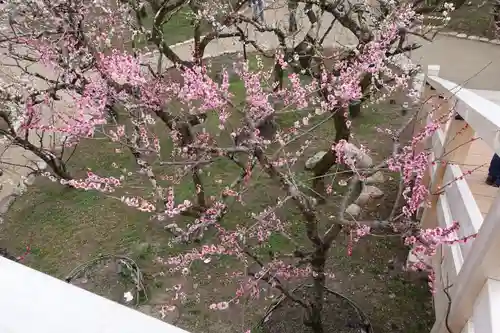 北野天満宮の庭園