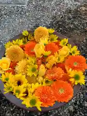 彌都加伎神社の手水