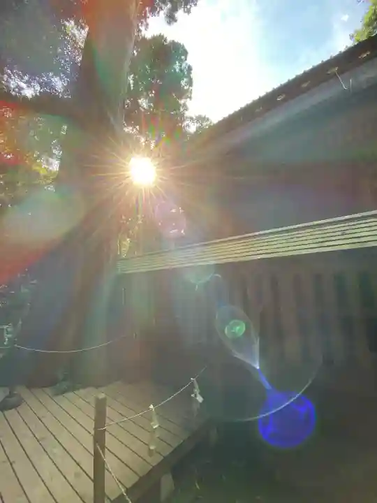 鹿島神宮(茨城県)