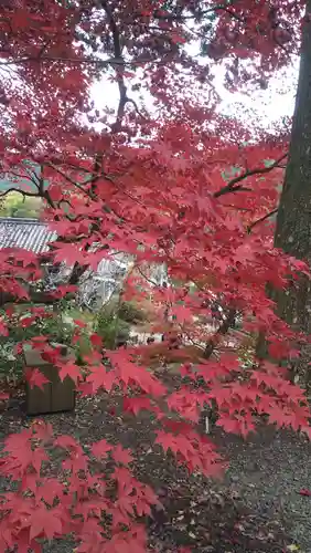 大国寺(兵庫県)