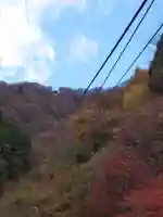 彌彦神社奥宮(御神廟)(新潟県)