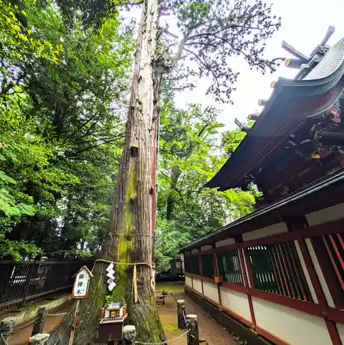 一言主神社(茨城県)