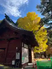 北口本宮冨士浅間神社(山梨県)