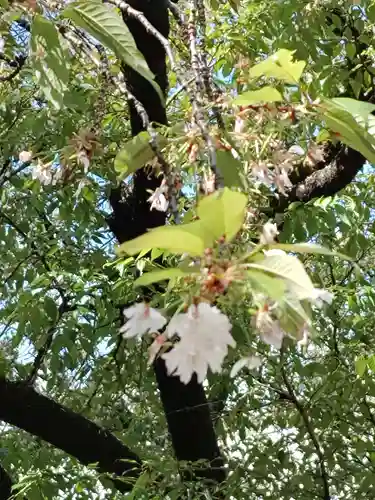 願成寺(岐阜県)