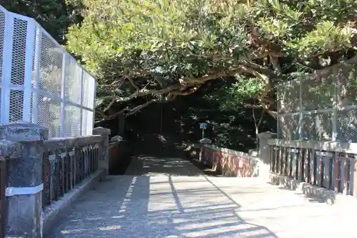 猿田神社の景色