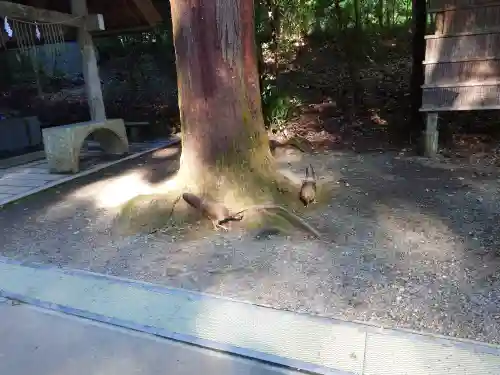 天岩戸神社(宮崎県)