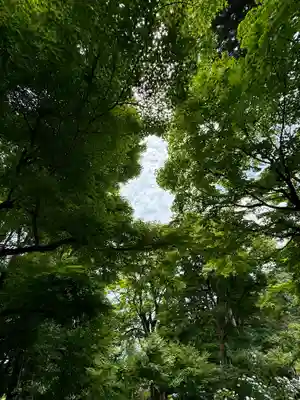 柳谷観音　楊谷寺(京都府)