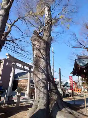 科野大宮社(長野県)