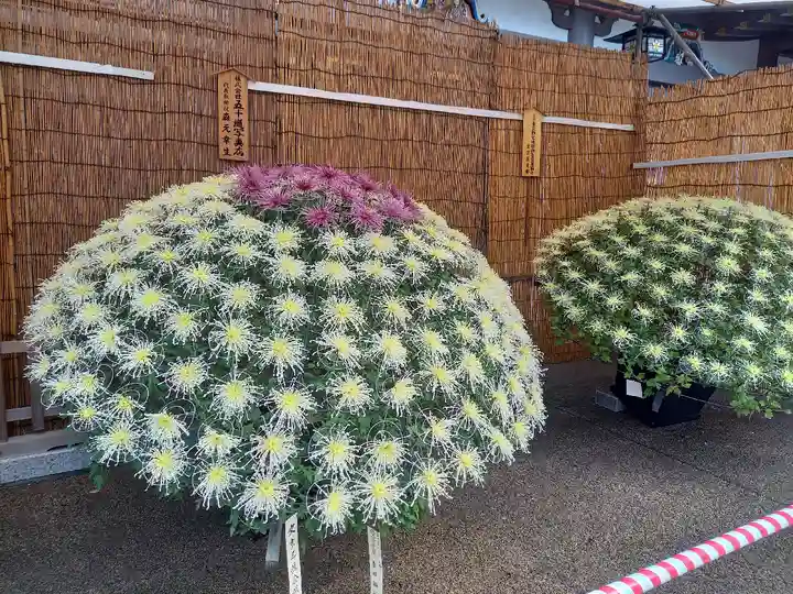 湯島天満宮の庭園