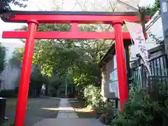 子安稲荷神社の鳥居