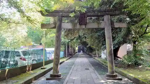渋谷氷川神社の鳥居