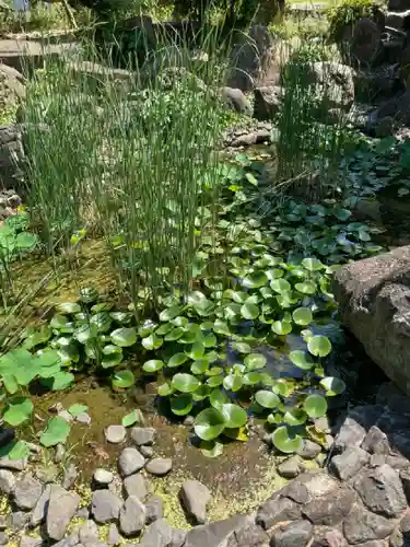 難波別院の自然