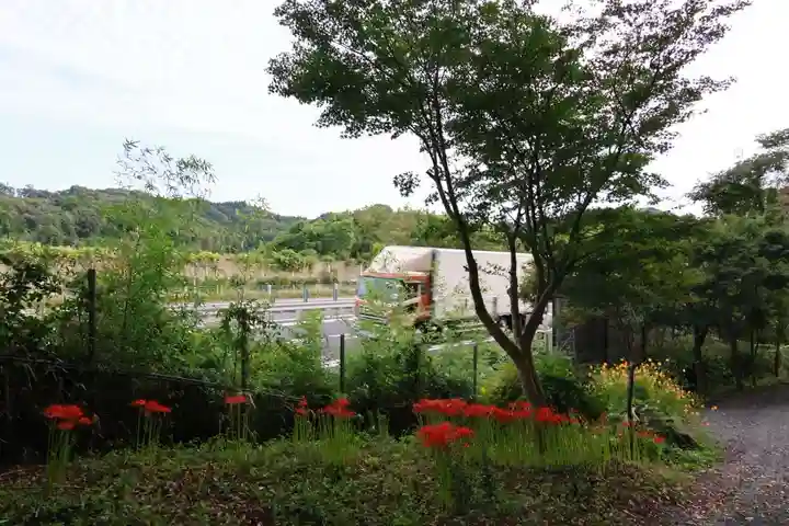 八幡神社(岩窪切岸城址)の景色