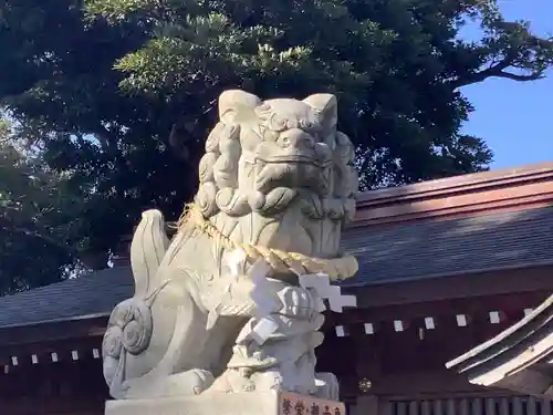 亀ケ池八幡宮の狛犬