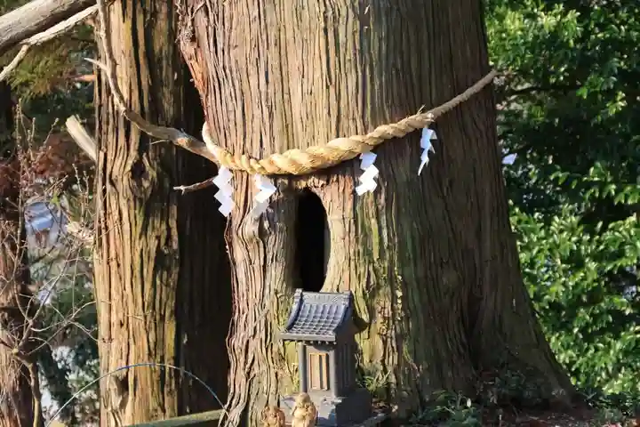 阿久津「田村神社」(郡山市阿久津町)旧社名:伊豆箱根三嶋三社の自然