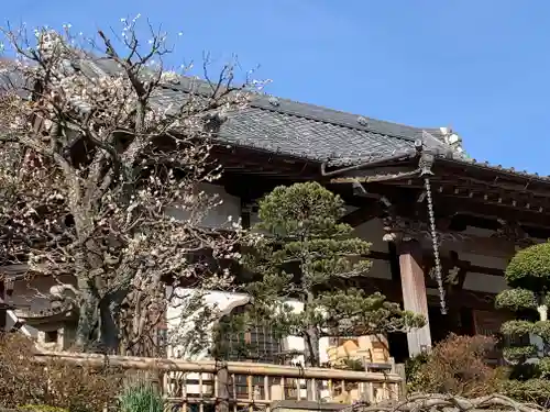 光明寺の本殿・本堂
