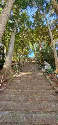 春日神社の{uncategorized: "未分類", other: "その他", undefined: "問題あり", building: "その他建物", grave: "お墓", sacred_gate: "鳥居", guardian: "狛犬", statue: "像", buddha: "仏像", history: "歴史", nature: "自然", garden: "庭園", animal: "動物", pagoda: "塔", temizu: "手水舎", mountain_gate: "山門・神門", sanctuary: "本殿・本堂", subordinate: "末社・摂社", art: "芸術", scenery: "景色", jizo: "地蔵", ema: "絵馬", goshuin: "御朱印", omikuji: "おみくじ", items: "授与品その他", amulet: "お守り", goshuincho: "御朱印帳", eats: "食事", festival: "お祭り", votive_dance: "神楽", shichigosan: "七五三参", wedding: "結婚式", experience: "体験その他", initially: "初詣", around: "周辺", anti_infection: "感染症対策"}