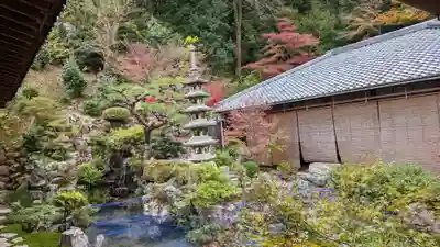 興聖寺（興聖寶林禅寺）の塔
