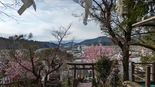 琴平神社(高知県)